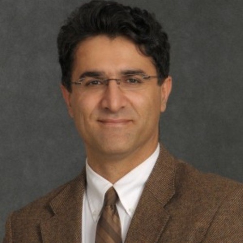 Ali Khosronejad, PhD