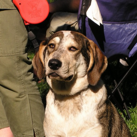 2003 Department Picnic