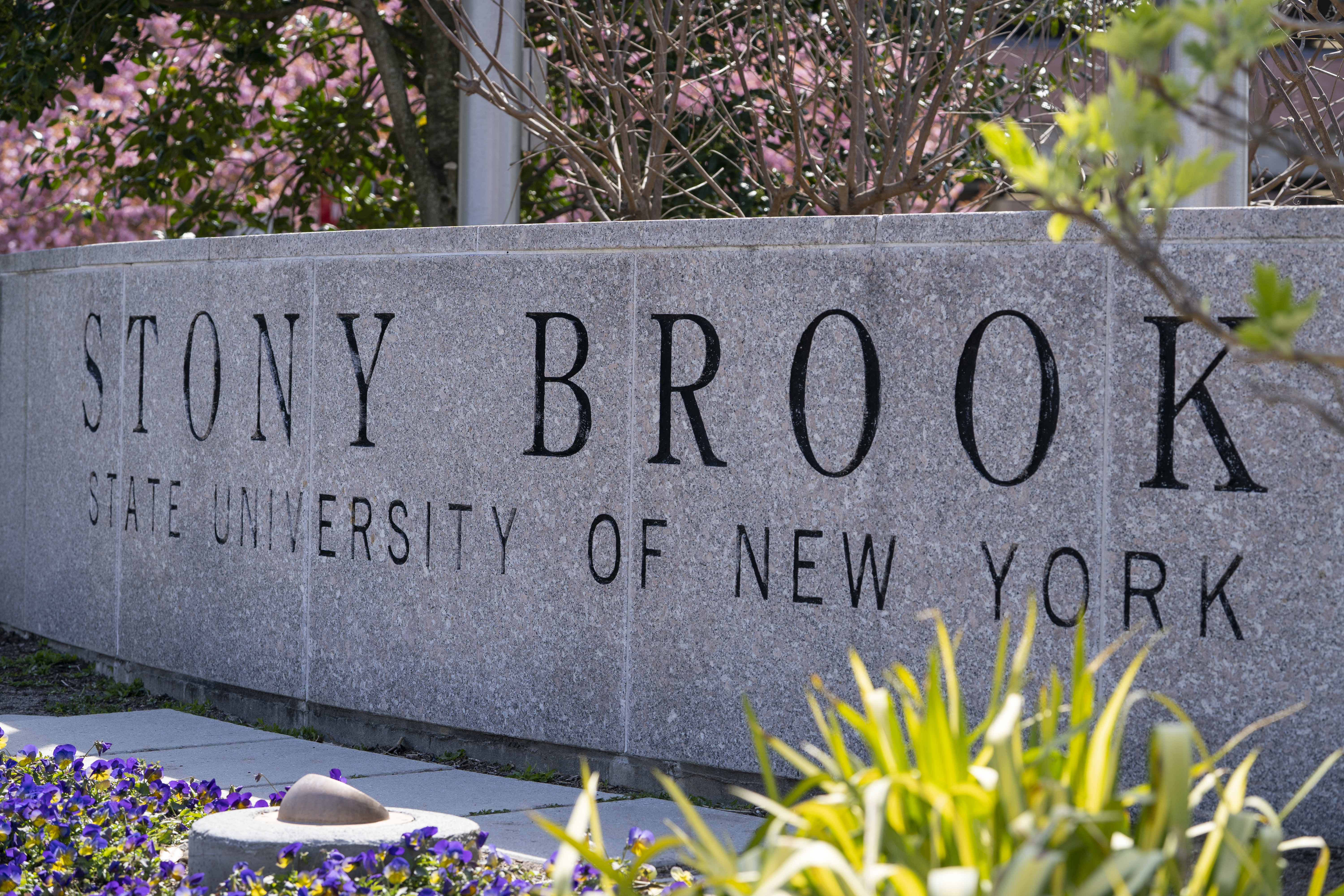 Stony Brook Entrance Sign