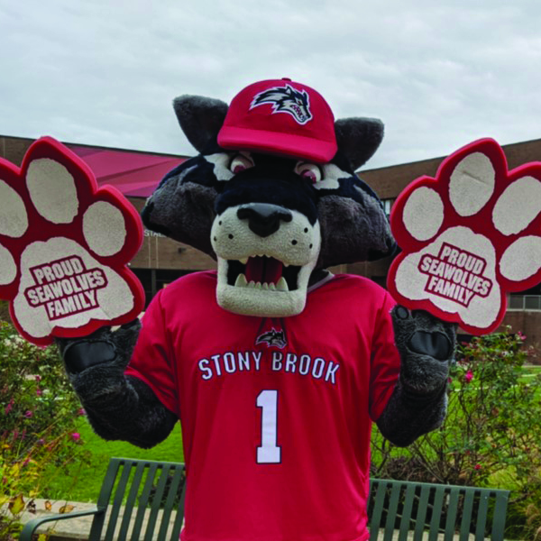 Stony Brook Staller Center Seating Chart