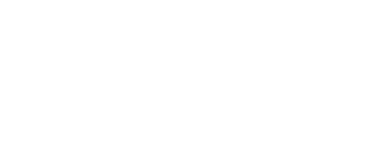 Staller Center Logo