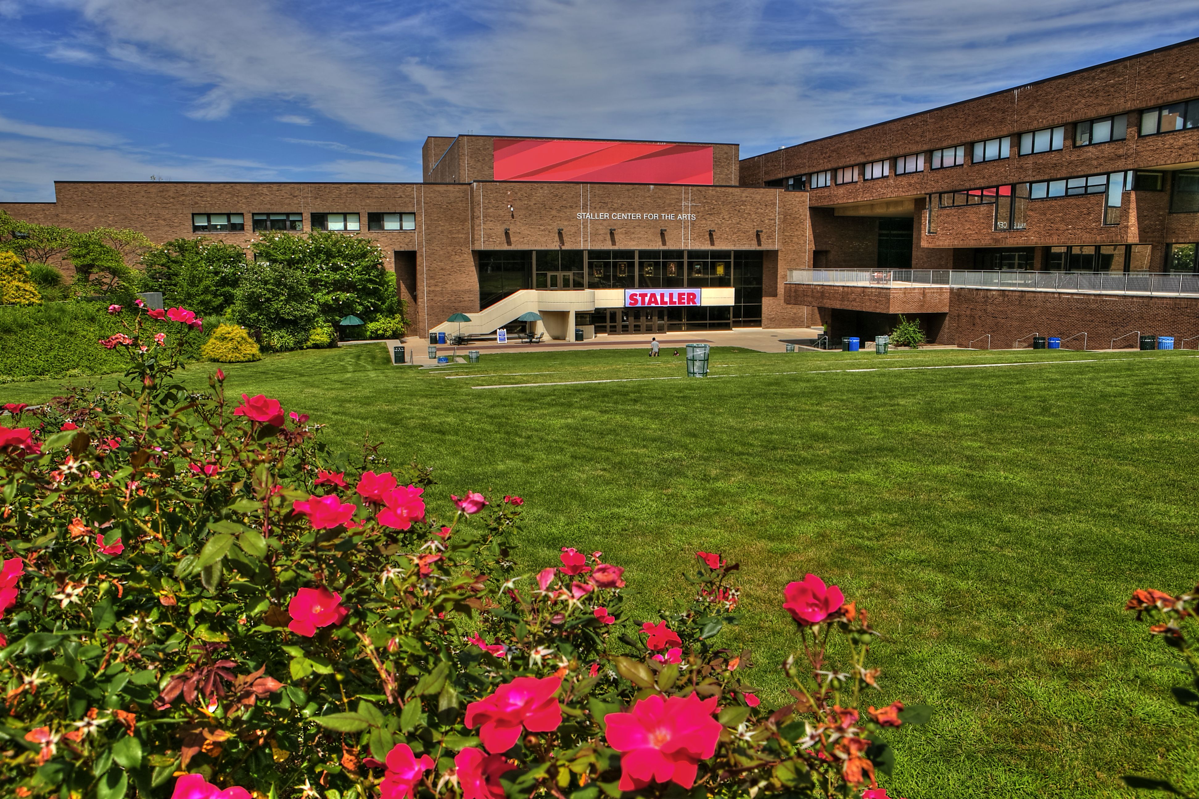 Staller from the Steps